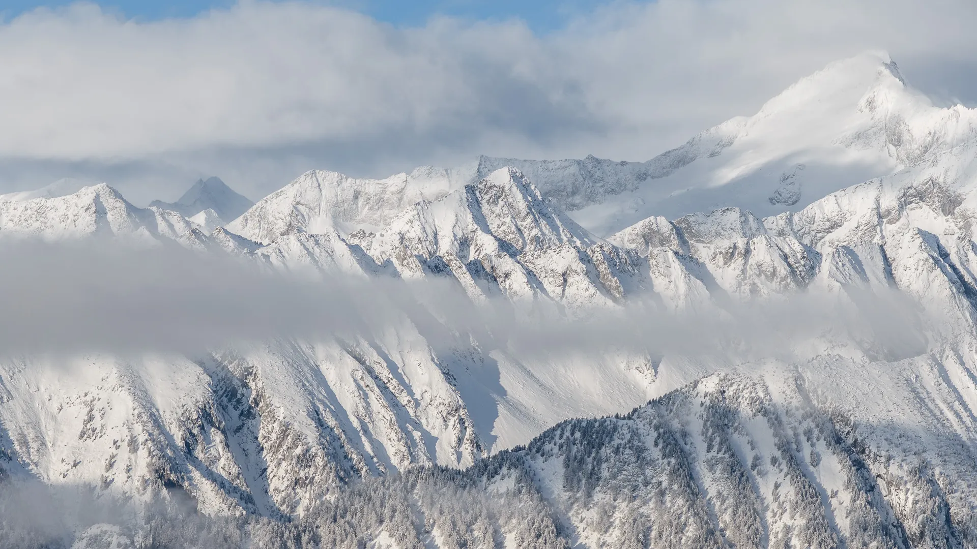 Winter mountain panorama in Ahrntal with snow-covered peaks and conifer forests