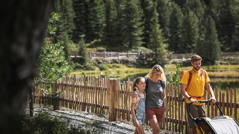 Family hiking with stroller along wooden fence through larch forest at mountain lake in Ahrntal