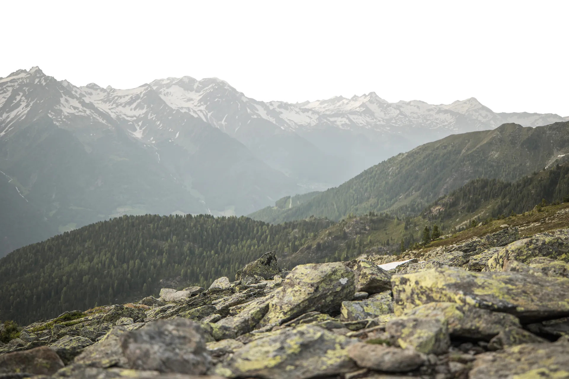 Blick vom Klausberg auf die schneebedeckten Gipfel der Zillertaler Alpen mit Almwiesen im Sommer