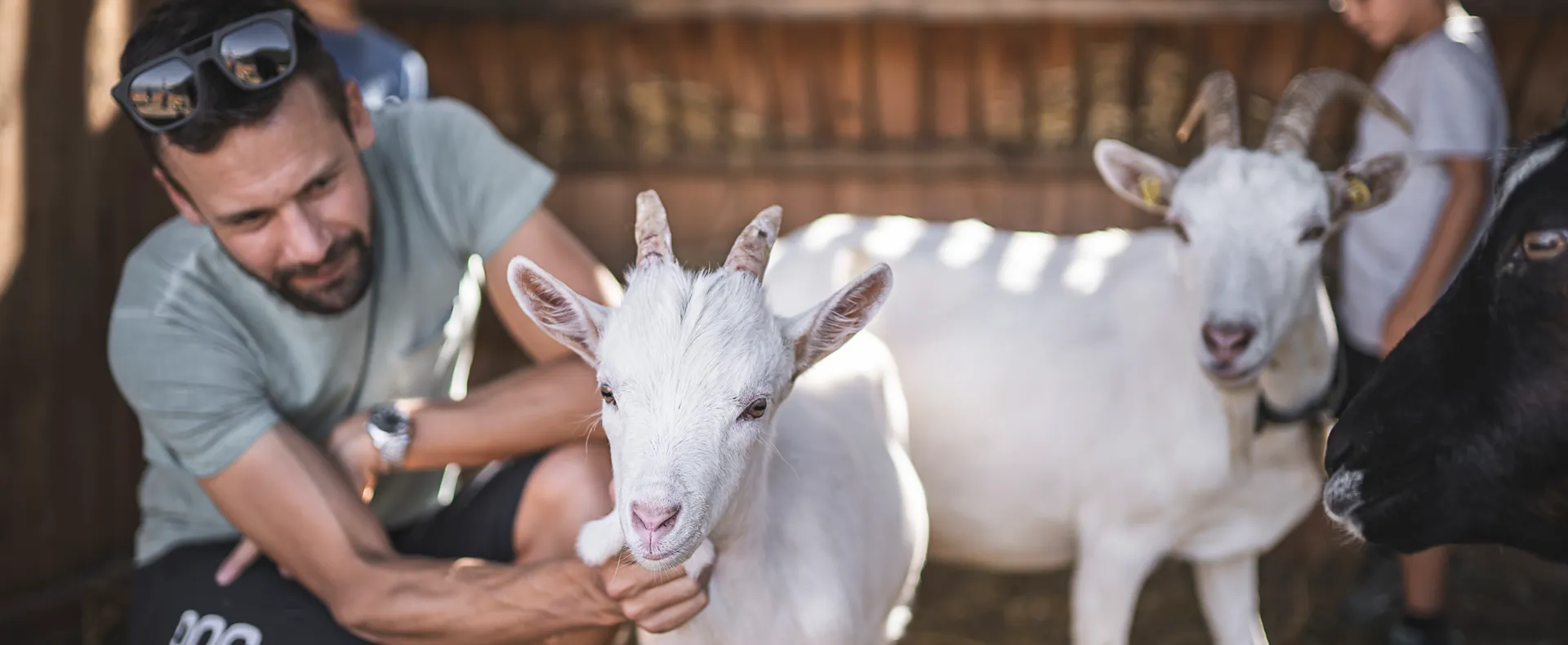Vater und Kinder streicheln Ziegen im Stall eines Bauernhofs im Ahrntal