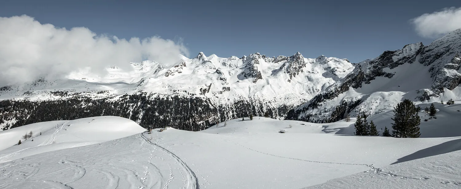 Untouched winter landscape with deep snow, ski tracks and pine forests in the Rieserferner Group Ahrntal
