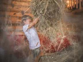 Kind wirft Heu in Holzscheune, Spielspaß auf dem Bauernhof im Ahrntal