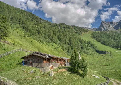 Almhütte mit Wegkreuz auf Sommerwiese im Ahrntal, Bergwald und Liftanlage