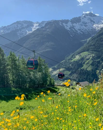 K-Express gondolas over summer wildflower meadow with mountain farms and peaks in Ahrntal