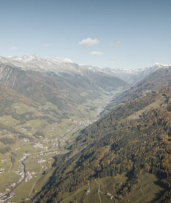 Drohnenaufnahme Ahrntal im Herbst mit goldenen Lärchenwäldern und Blick auf Zillertaler Alpen
