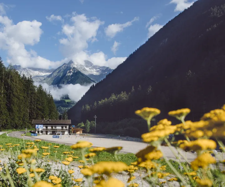 Valley station of Skiworld Ahrntal in summer with yellow mountain flowers and alpine panorama
